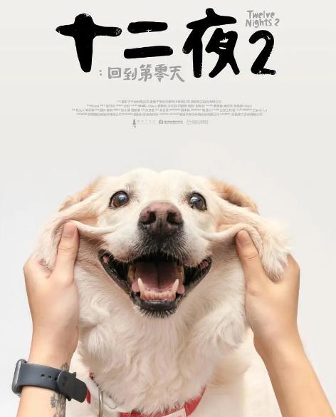 紀錄片【十二夜2:回到第零天】2020年