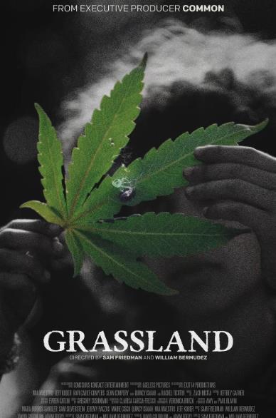 電影【草葉之下/Beneath the Grass】2025年